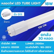 ชุด 30 หลอดไฟบ้าน T8 led Tube Long Light 220V 9W18W20W40W หลอดไฟนีออน หลอดไฟฟ้าสว่าง ขั้วสีทอง ขั้วส