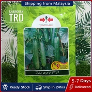 Paket 20g @ 800 Seeds ZATAVY F1 Biji Benih Timun Batang F1 Hybrid Cucumber Seeds Cap Panah Merah Eas