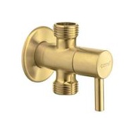 สต๊อปวาล์ว 2 ทาง COTTO CT1702BGR(HM) (1292062)