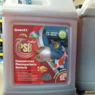 QUAS21 PSB 5L Concentrated Photosynthetic Bacteria