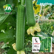 Huajun Hybrid Imperial Concubine Meat Luffa Seeds Early Mature, Tender and Succulent Meat Thick Garden Pastoral Vegetabl