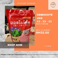 baja osmocote 13-13-13 / baja thailand slow release (3 bulan)