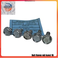 M6 FLANGEBolt BOLT 10 m6x10 m6x14 m6x16 m6x18 m6x20 LOCK BOLTS 10 length 1cm 1.4 cm 1.6 cm 1.8cm 2cm