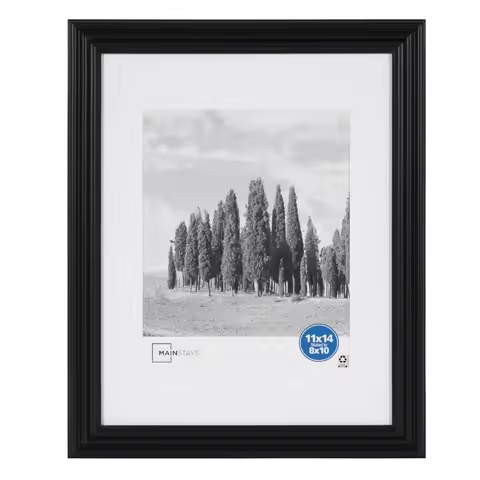 8x10 Picture Frame Black Matted Gallery Traditional Wall Photo Frame for Display
