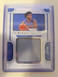 Panini National Treasures saddiq bey