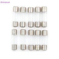 Annasun 10pcs Glass Tube Fuse 5mm x 20mm 1.6A T1.6A 250V Slow Blow 1.6Amps MY