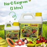 Baja Ezigrow Hai-O 4L Free 2 sticks min kaffe