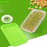 INSTORE Seedling Tray Natural Homemade Nursery Pots Wheatgrass Green Soilless Planting Soilless cultivation