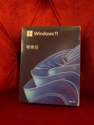 （盒裝現貨）Windows 11 professional/專業版