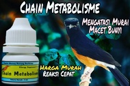 Metabolisme Burung Chain Metabolisme