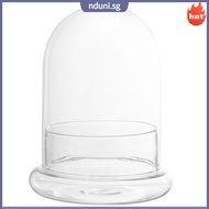 nduni  Micro Landscape Vase Snow Globes Dome with Base Glass Bottle Cloche Terrarium