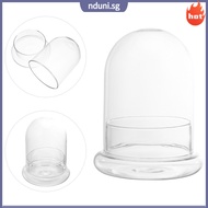 Ecological Bottle Moss Jar Miniature Bottles Glass for Terrariums Dome Domed  nduni