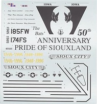 Fab Scale 1/48 USA Golden Viper F-16C Block 30/F-16A Block 10 185th Combat Aviation Wing 1996 2022 P