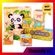 Six Sides 9PCS/LOT Kids Baby Wooden Learning Educational Toys 3D Puzzle Jigsaw Puzzle