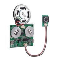 Sound Module, Icstation Programmable Sound Chip for Greeting Card 8M USB Charging Sound Board for DI