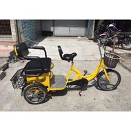 RFM Electric Bike ebikes ebike etrike ecobike ebicycle 3wheel 3-wheel