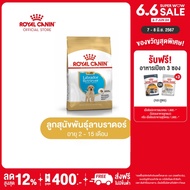 Royal Canin Labrador Retriever Puppy โรยัล คานิน อาหารเม็ดลูกสุนัข พันธุ์ลาบราดอร์ รีทรีฟเวอร์ อายุต่ำกว่า 15 เดือน (กดเลือกขนาดได้, Dry Dog Food)