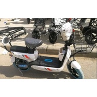 Ebike for adults on sale PH 2 wheels ,Two-seater Electric Mini Bike Rechargeable Battery Adult Shock