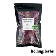 100% Organic Dried Red Tiger Lotus (Promotes Deep Sleep) 红莲花睡莲花茶 by RollingHerbs x Stonerplus