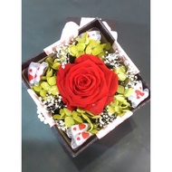 Bloom Box Red Rose Beauty Preserved Flower Beautiful Decoration