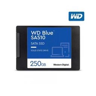 WD 威騰 Blue 藍標 SA510 250GB 2.5吋 SATA3 SSD固態硬碟 /紐頓e世界