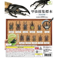 Gashapon Mystery Box Simulation Beetle Unicorn Beetle Beetle Model Specimen Insect Ornaments Pendant