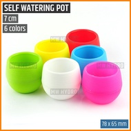 Mini Self Watering Pot, Round / Ball Pot, 7 cm