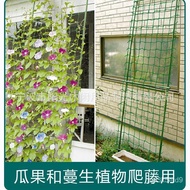 Household Gardening Supplies Pertool Cucumber Luffa Grape Rose Chinese Rose Climbing Net Plant Plastic Net Nylon Net