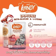 (1ซอง)Kandy อาหารเปียกแมวแคนดี้ 1 ซอง/70กรัม ทูน่าเนื้อขาว