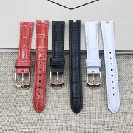 Board Recommendation~FOLLI FOLLIE FOLLIE Strap 16MM Adapt to WF13A038 Watch Accessories