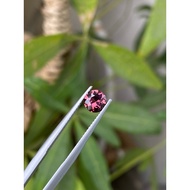 Spine Luc Yen Cincin Lelaki Cincin Titanium Cincin Perempuan Cincin Couple