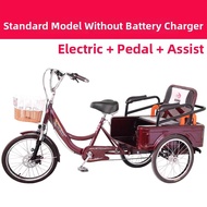 Electric Assist Adult Tricycle