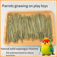 Parrot toys, interactive parrot gnawing natural solid dragon whisker grass toys, parrot grinding mou