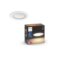 Philips Hue Garnea 51107 / 51108