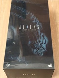 全場最平 Hottoys alien warrior mms354 異型 predator AVP 異獸戰  鐵血戰士