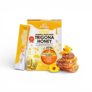 JYNNS Borneo Highlands Trigona Honey – Golden Voice Citrus (21 Sachets) | Daily Throat & Immunity Su