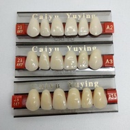 Gigi palsu acrylic caiyu Anterior Depan atas/bawah perbox isi 16
