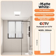 BEIQIVI | Frameless Ceiling Tiles 300x600mm