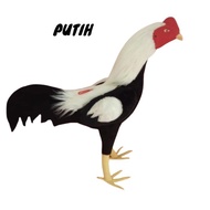 Boneka Ayam Jago Bulu Sintetis / Boneka Ayam Jago Aduan - Putih - Gold Pirang - Kuning