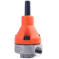 DN15 DN20 DN25 DN32 DN40 DN50 DN65 PVC/UPVC Stainless Steel Safety Relief Back Pressure Valve Pressu