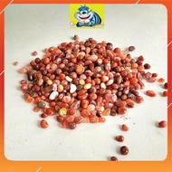 Natural Red Agate Pebbles Type 8-10mm - Agate Pebbles for Fish Tank Decoration, Bonsai Pots