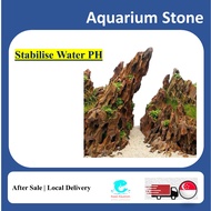 Aquarium stone natural dragon stone for terrarium aquarium