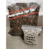 READY TO USE 2Litre Cactus & Succulent Potting Mix Soil