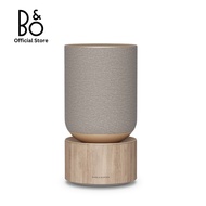 B&O - BEOSOUND BALANCE - Outstanding living room speaker