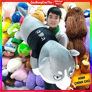 Gấu Bông Husky 1m2 - Gối Ôm Chó Ngáo Mềm Mịn Siêu Ngầu