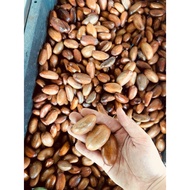 BUAH PERAH buah bermusim