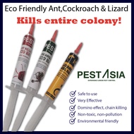 TRUE Eco Friendly Gel Ant Bait. Anti Ant Bait. Insects Wipe Out Gel Eco Bait. Cockroach Bait. Lizard