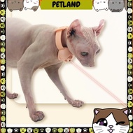 Cat Collar with Laser Light Cat Toy Cat Play Laser Toy Pet Toy Laser Teaser