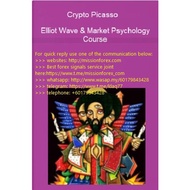 Crypto Picasso - Elliot Wave & Market Psychology Course