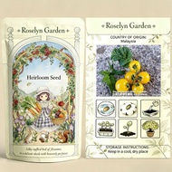 ±10 Biji Benih Tomato Dwarf Desert Star Tomato 沙漠之星矮生番茄 Golden Sweet Low Acid Dwarf Compact Heirloom